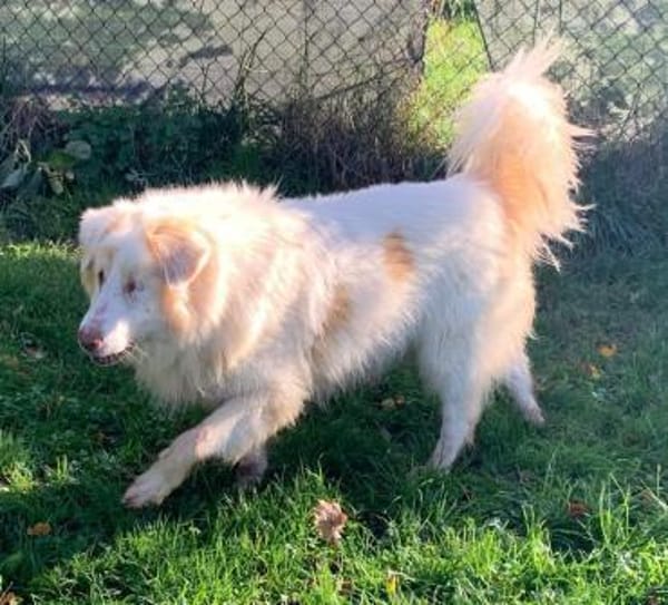 ALIKI - sieht die Welt mit ihrem Herzen