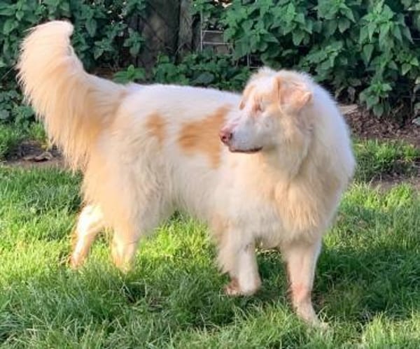 ALIKI - sieht die Welt mit ihrem Herzen