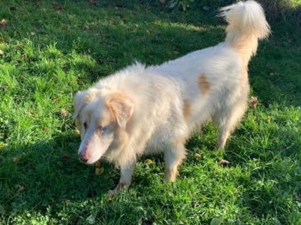 ALIKI - sieht die Welt mit ihrem Herzen