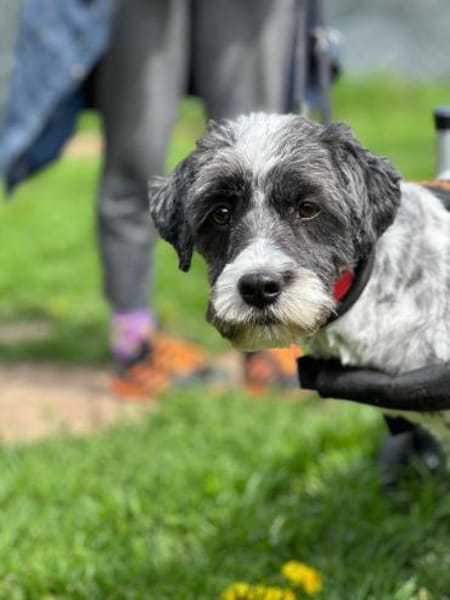 NOAH, trotz Handicap voller Lebensfreude