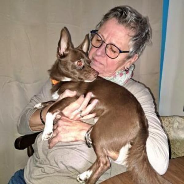 CHOCO-lieber und verschmuster Begleiter!