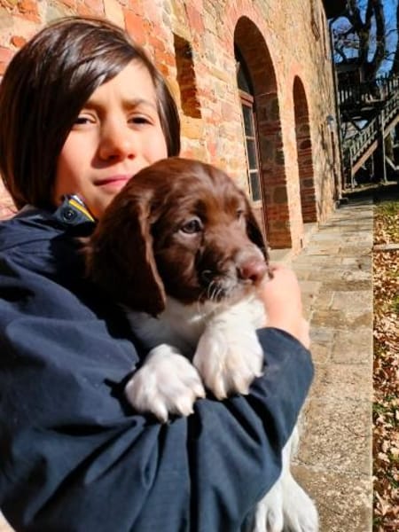 🧡 Lotti - zur Pflege in Deutschland