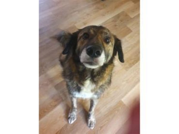 Loumes - wartet in 97714 Oerlenbach