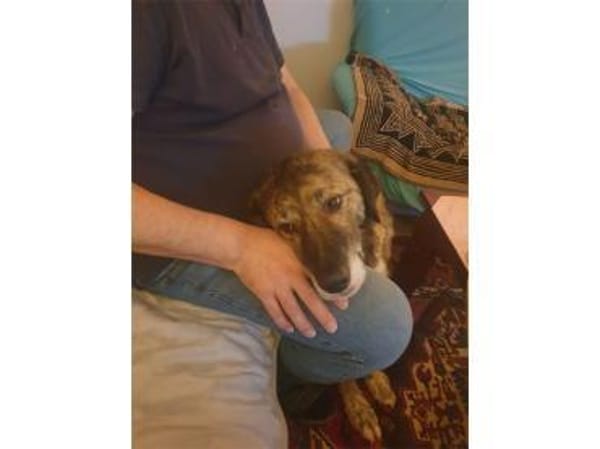 Loumes - wartet in 97714 Oerlenbach