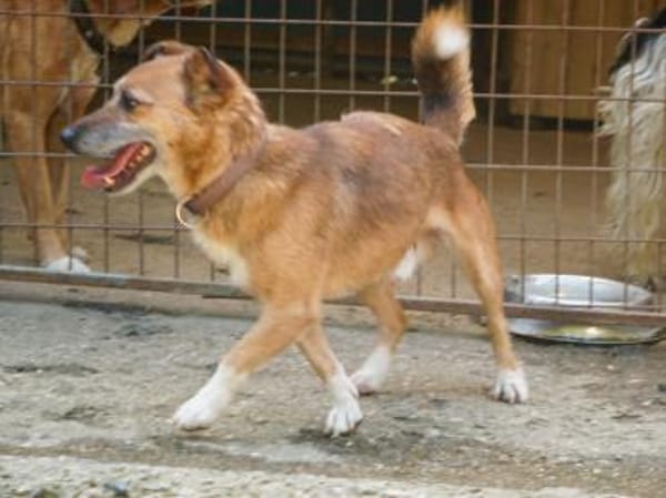 AMON möchte mehr von der Welt sehen