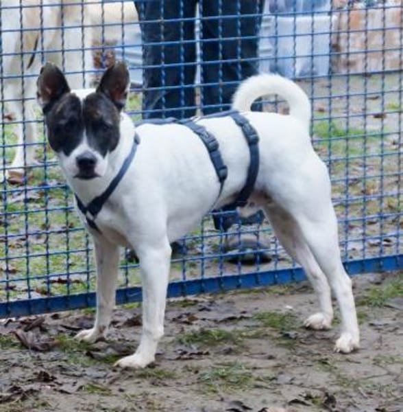 Mark, neugierig, offen, lernwillig