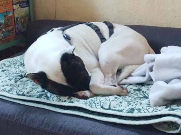 Mark, neugierig, offen, lernwillig