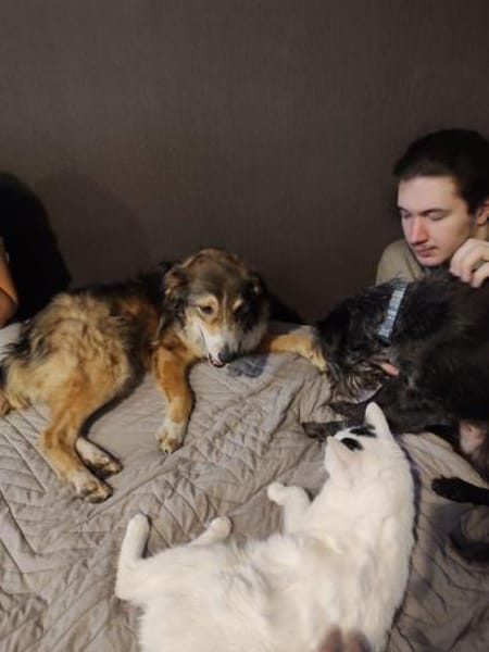 Verschmuster Vanya sucht seine Menschen