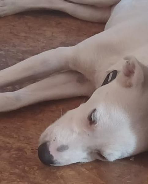 Mimmo aufgeschlossen und neugierig