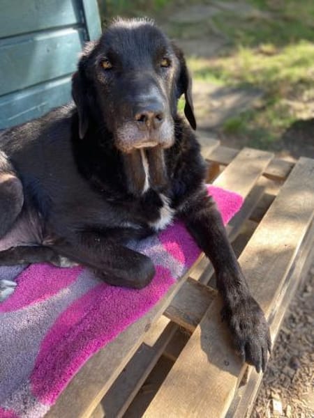 THEO - wo bleibt sein Happy End?