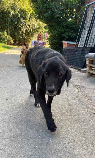 THEO - wo bleibt sein Happy End?