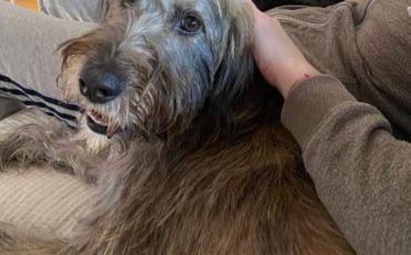 Margrit sucht ein ruhiges Plätzchen