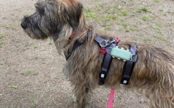 Margrit sucht ein ruhiges Plätzchen