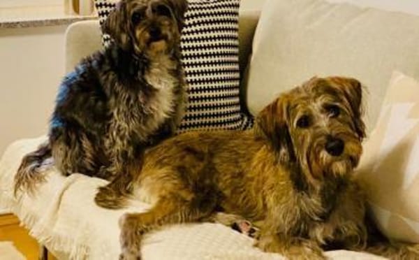 Margrit sucht ein ruhiges Plätzchen