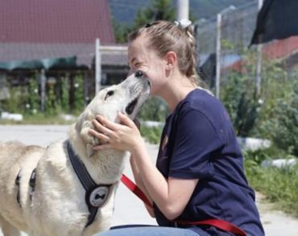 Lina sucht ihr Für-immer-Zuhause