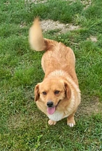 Daisy, auf Pflege in München