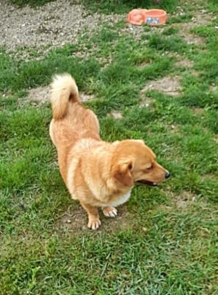 Daisy, auf Pflege in München