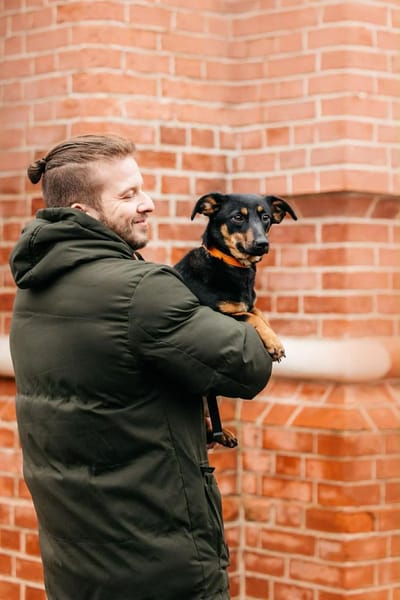 Verschmuster Rudi sucht sein Zuhause