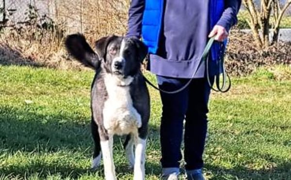 Der liebe Tobbi hat einen Wunsch