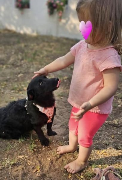 Cora wurde wegen Umzug weiter gereicht