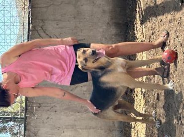 Zuhause gesucht für Minou