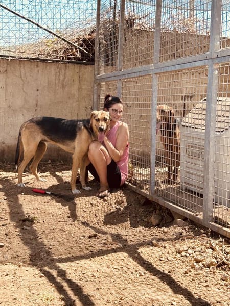 Zuhause gesucht für Minou