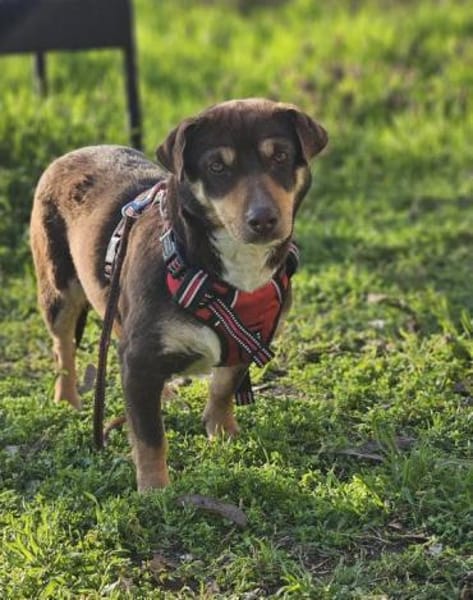 Dotti geht neugierig durchs Leben