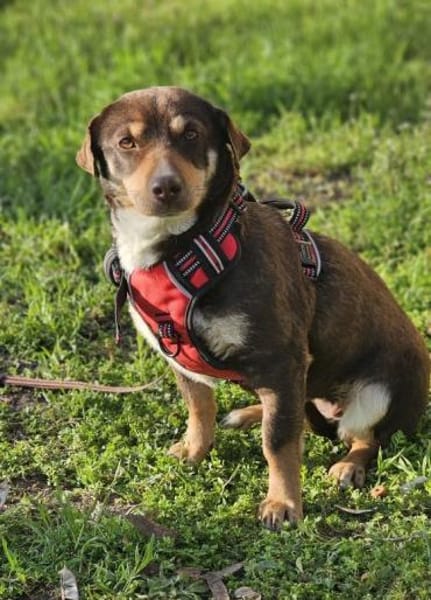 Dotti geht neugierig durchs Leben