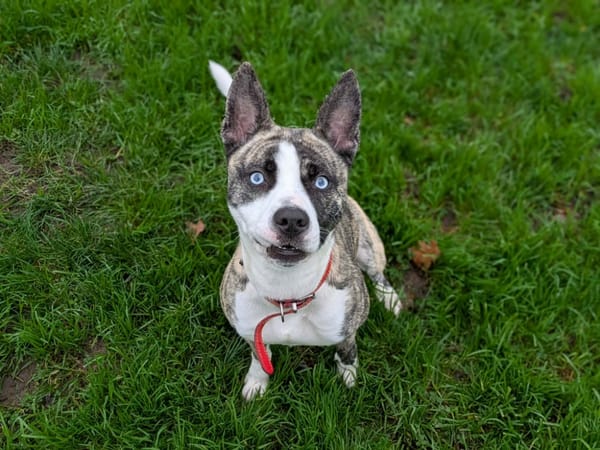 VALRHONA QCN (réservée)