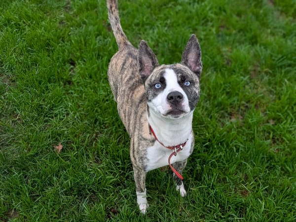 VALRHONA QCN (réservée)