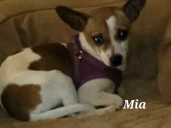 Mia
