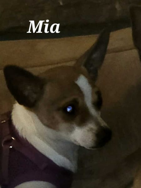 Mia
