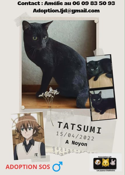 Tatsumi