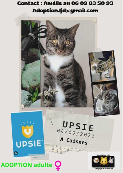 Upsie