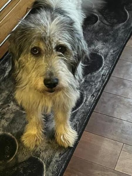 SUZAN * ein Träumchen