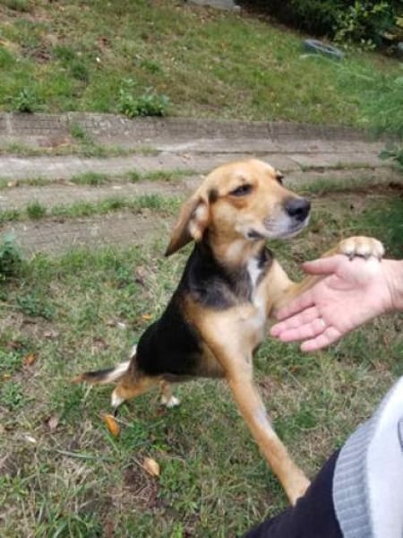 Milly - junges Mädchen mit Energie