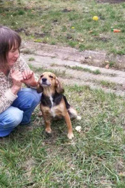 Milly - junges Mädchen mit Energie