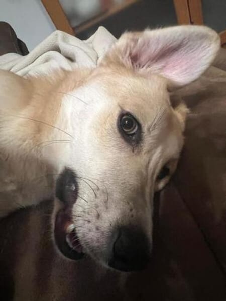 RYA * zartes freundliches Mädchen