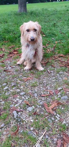 Kira sucht Verständnis