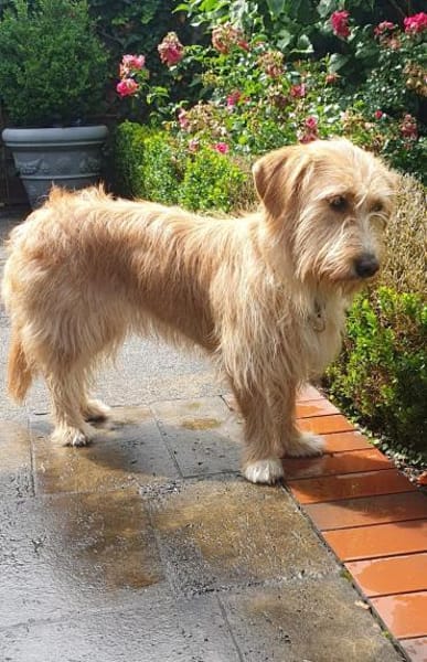 Kira sucht Verständnis