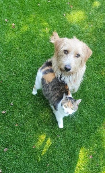 Kira sucht Verständnis