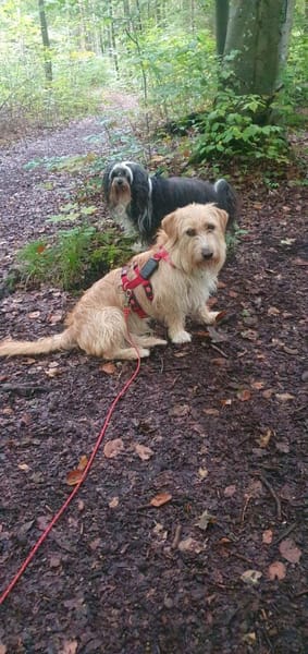 Kira sucht Verständnis