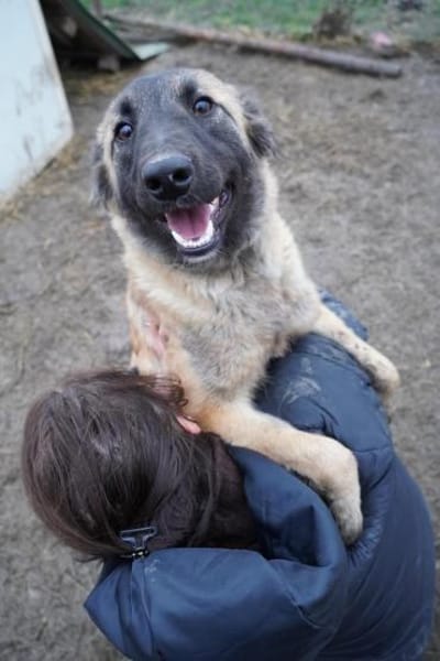 Mattie  klug und voller Lebensfreude