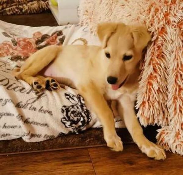 GWENDOLYN * entzückend aber Oho!