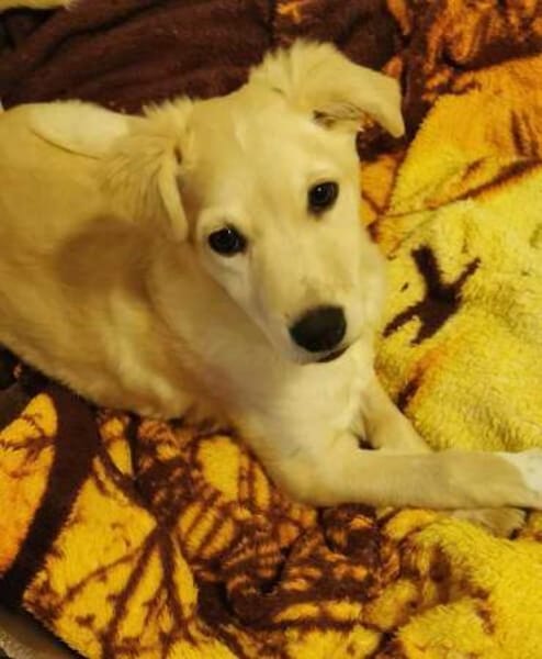 GWENDOLYN * entzückend aber Oho!