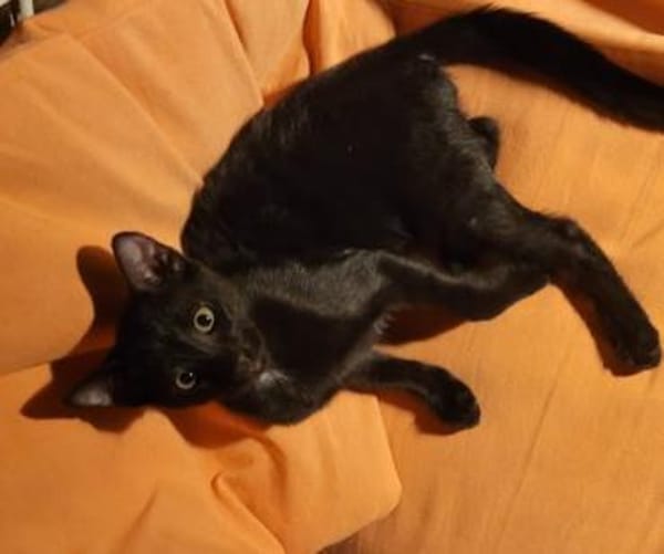 Tom und Jerry - diese beiden ....