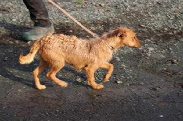 Turia - aufgeweckt u. unkompliziert