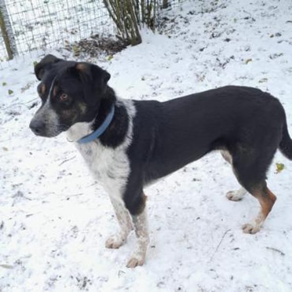 Olivia - die gelassene Schöne