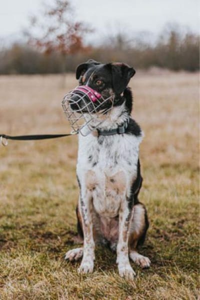 Olivia - die gelassene Schöne