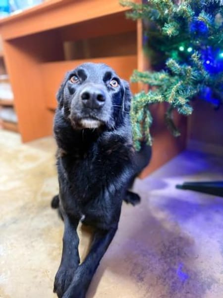 Oliver - stiller Schatten sucht Dich